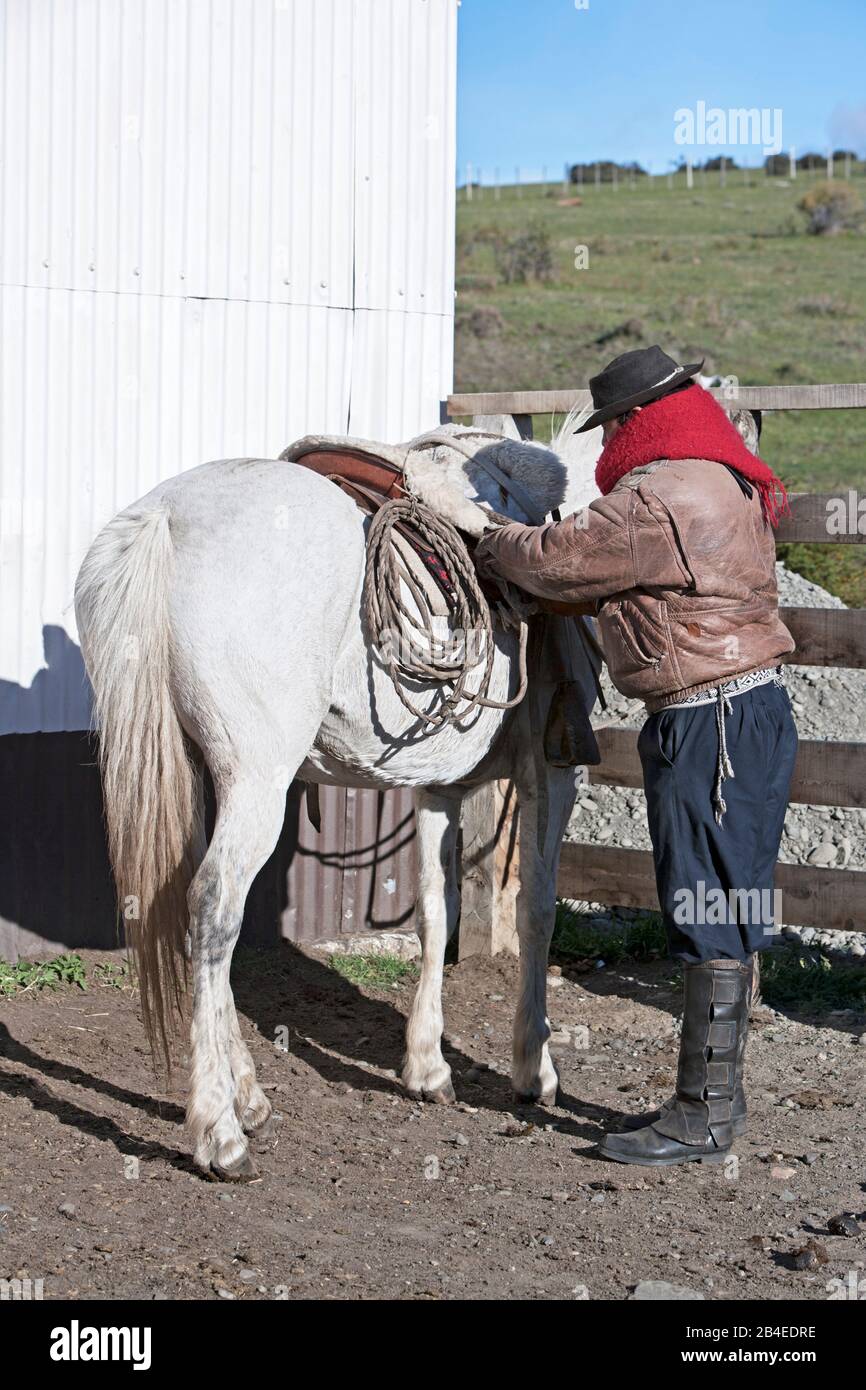 Gaucho, Parc National Torres del Paine, Patagonian Andes, Patagonie, Chili, Amérique du Sud, Banque D'Images