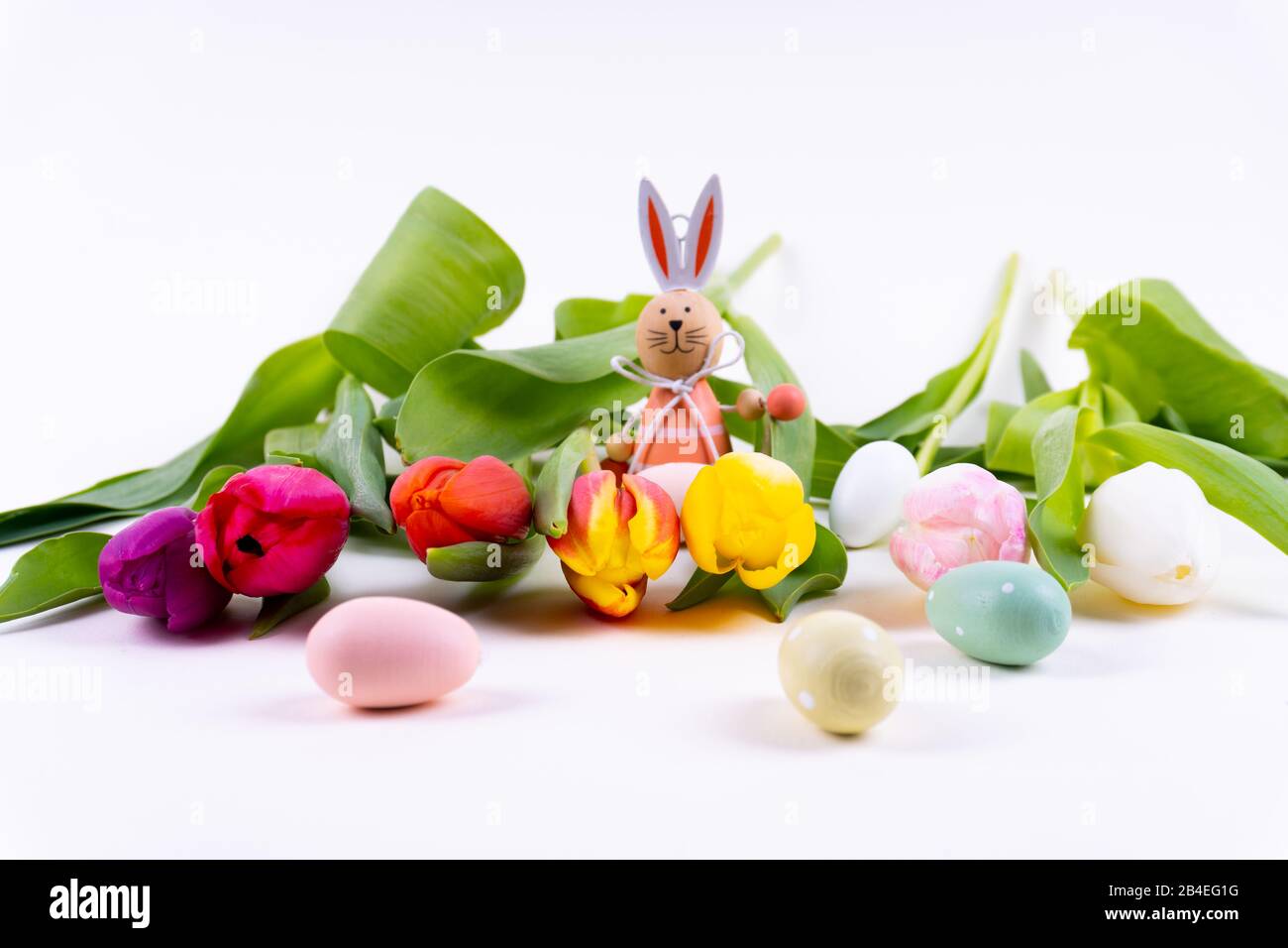 Tulipes colorées se posant dans une rangée avec un lapin de pâques sur fond blanc avec espace de copie Banque D'Images