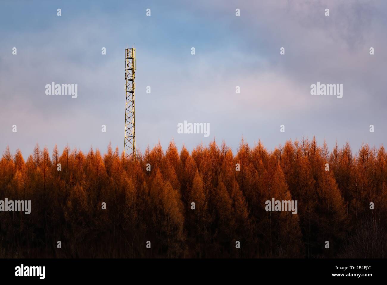 Nouvelle tour construit sur la colline dans la forêt rady for3G 4 G LTE Mât radio dans un emplacement rural Banque D'Images