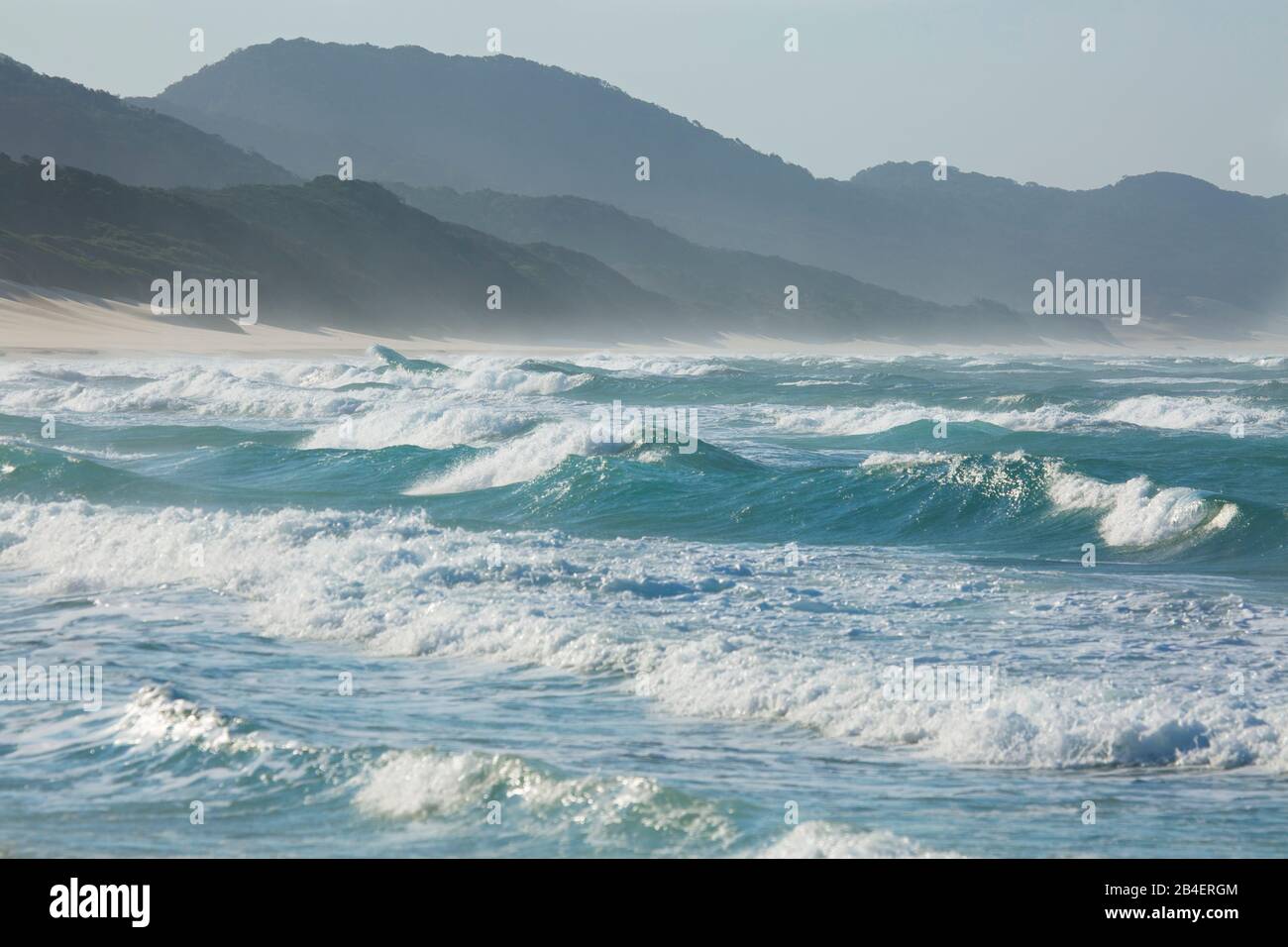 Surfez sur l'océan Indien au Cap Vidal en face des dunes surcultivées, qui appartiennent aux dunes côtières les plus élevées de la terre. Banque D'Images