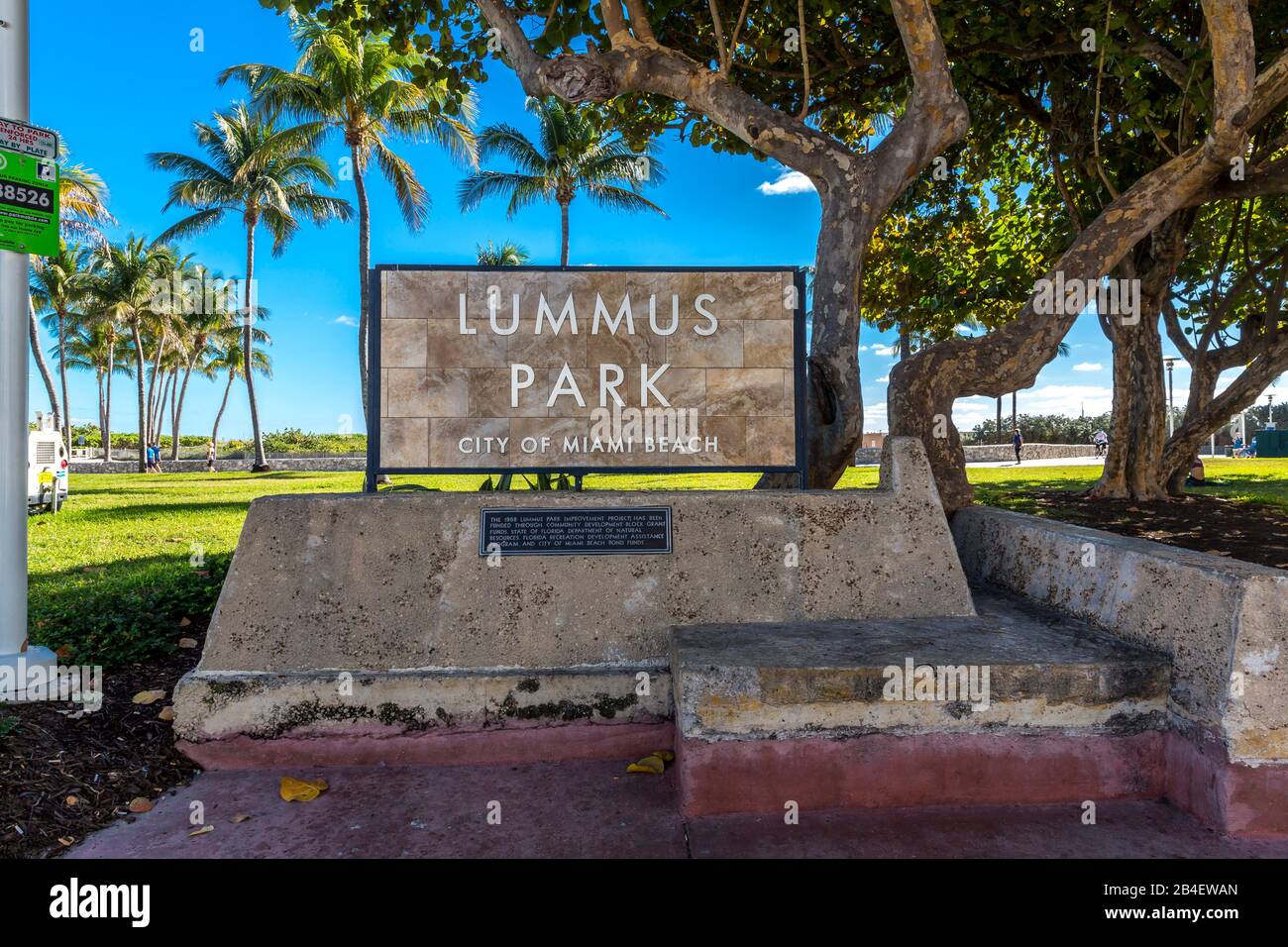 Lummus Park, Miami Beach, Comté De Miami-Dade, Floride, États-Unis, Nordamerika Banque D'Images