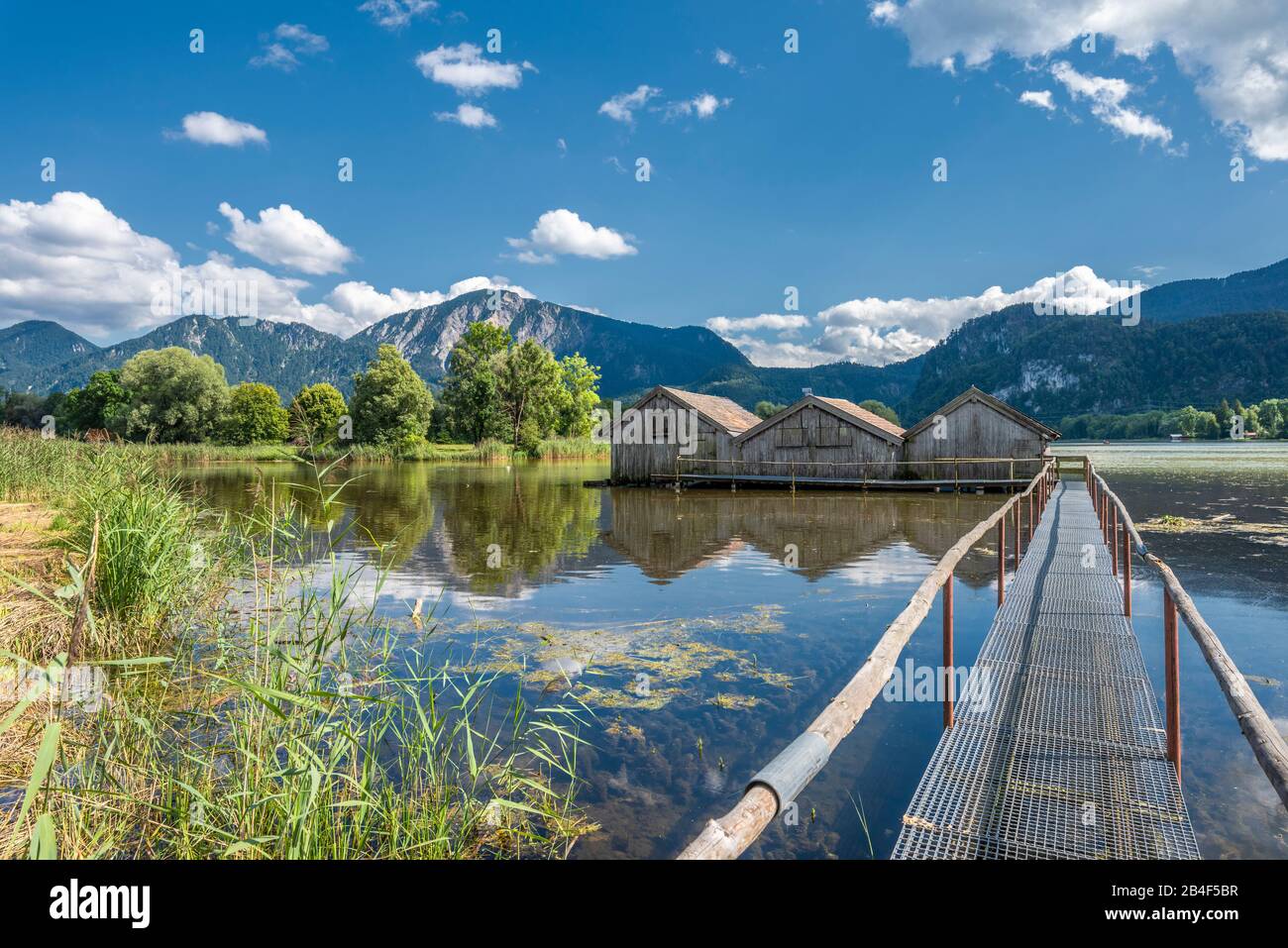 Schlehdorf, Kochelsee, Bad Tölz-Wolfratshausen District, Haute-Bavière, Allemagne, Europe. Trois serres dans le Kochechsee Banque D'Images