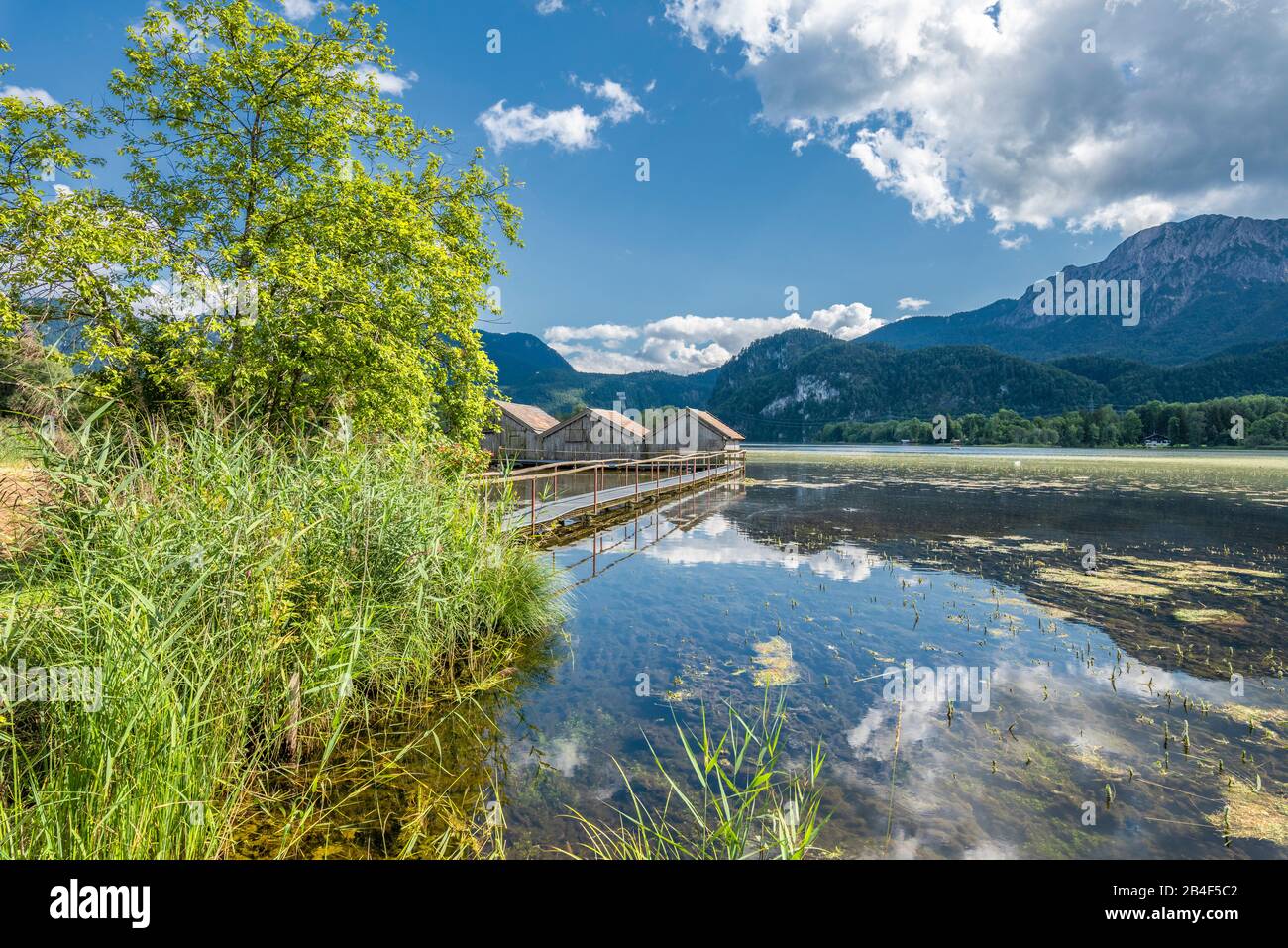 Schlehdorf, Kochelsee, Bad Tölz-Wolfratshausen District, Haute-Bavière, Allemagne, Europe. Trois serres dans le Kochechsee Banque D'Images