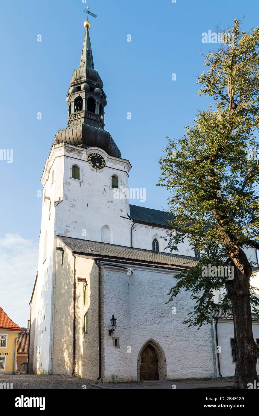 Estland, Tallinn, Domkirche St. Marien, Bischofssitz Banque D'Images