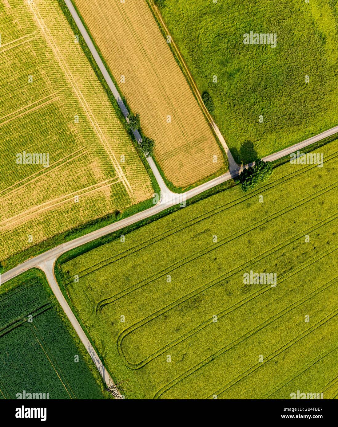 Vue aérienne des champs de Lindloher Weg Ampen à Soest dans le Soester Börde, dans l'état fédéral de Rhénanie-du-Nord-Westphalie en Allemagne, Soester Börde, Europe, Banque D'Images