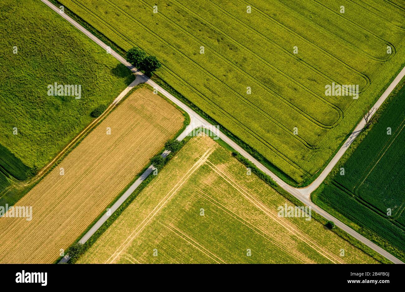 Vue aérienne des champs de Lindloher Weg Ampen à Soest dans le Soester Börde, dans l'état fédéral de Rhénanie-du-Nord-Westphalie en Allemagne, Soester Börde, Europe, Banque D'Images
