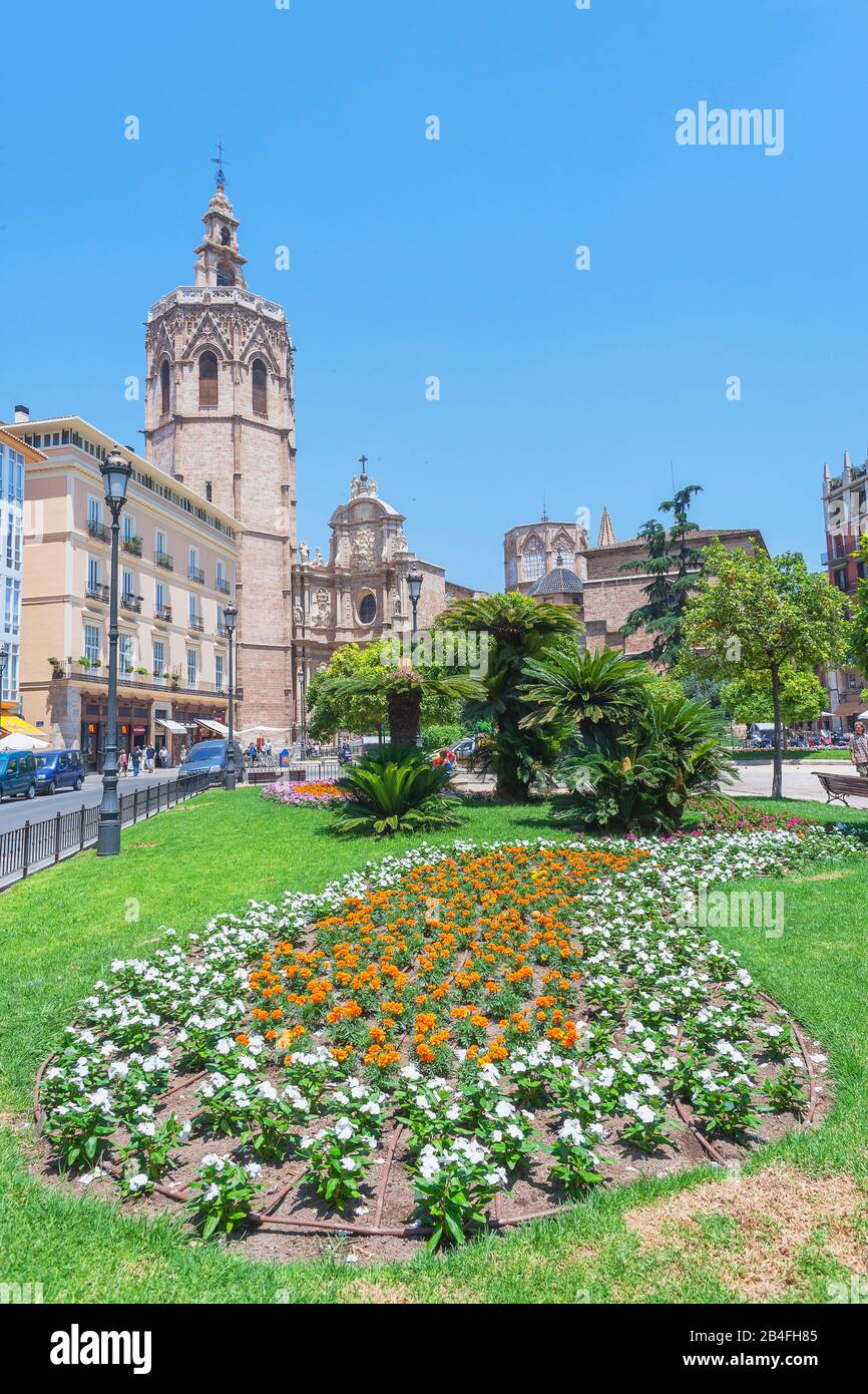 Plaza de la Reina, Valencia, Comunidad Autonoma de Valencia, Espagne Banque D'Images