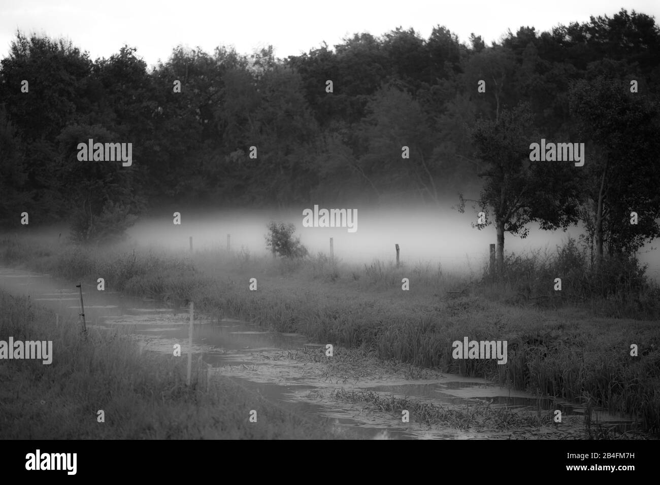 Brume tôt le matin sur une petite rivière Banque D'Images