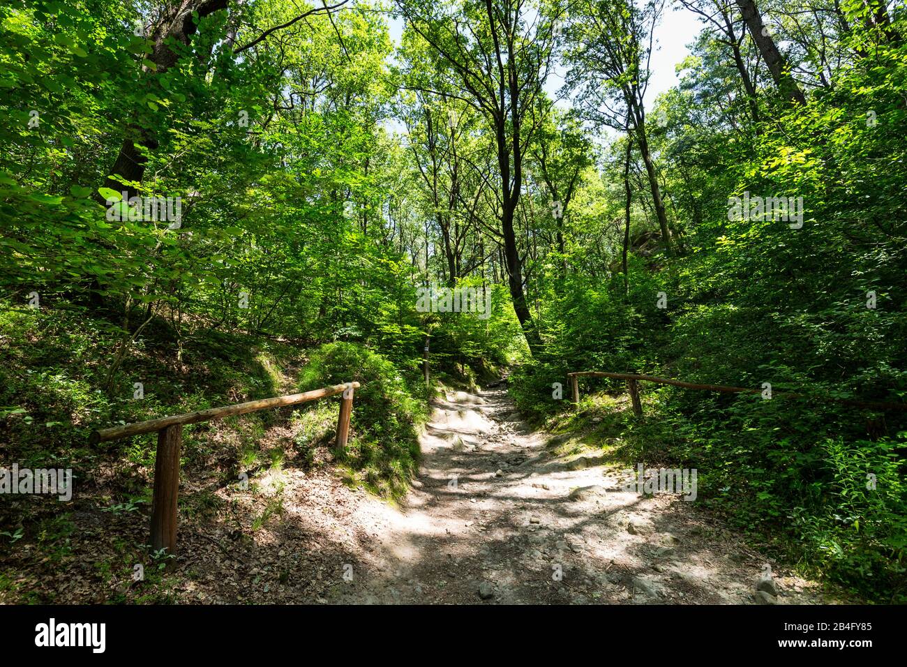 Europe, Pologne, Province De Lesser Pologne, Ciezkowice - Réserve Naturelle Ville Pétrifiée Banque D'Images