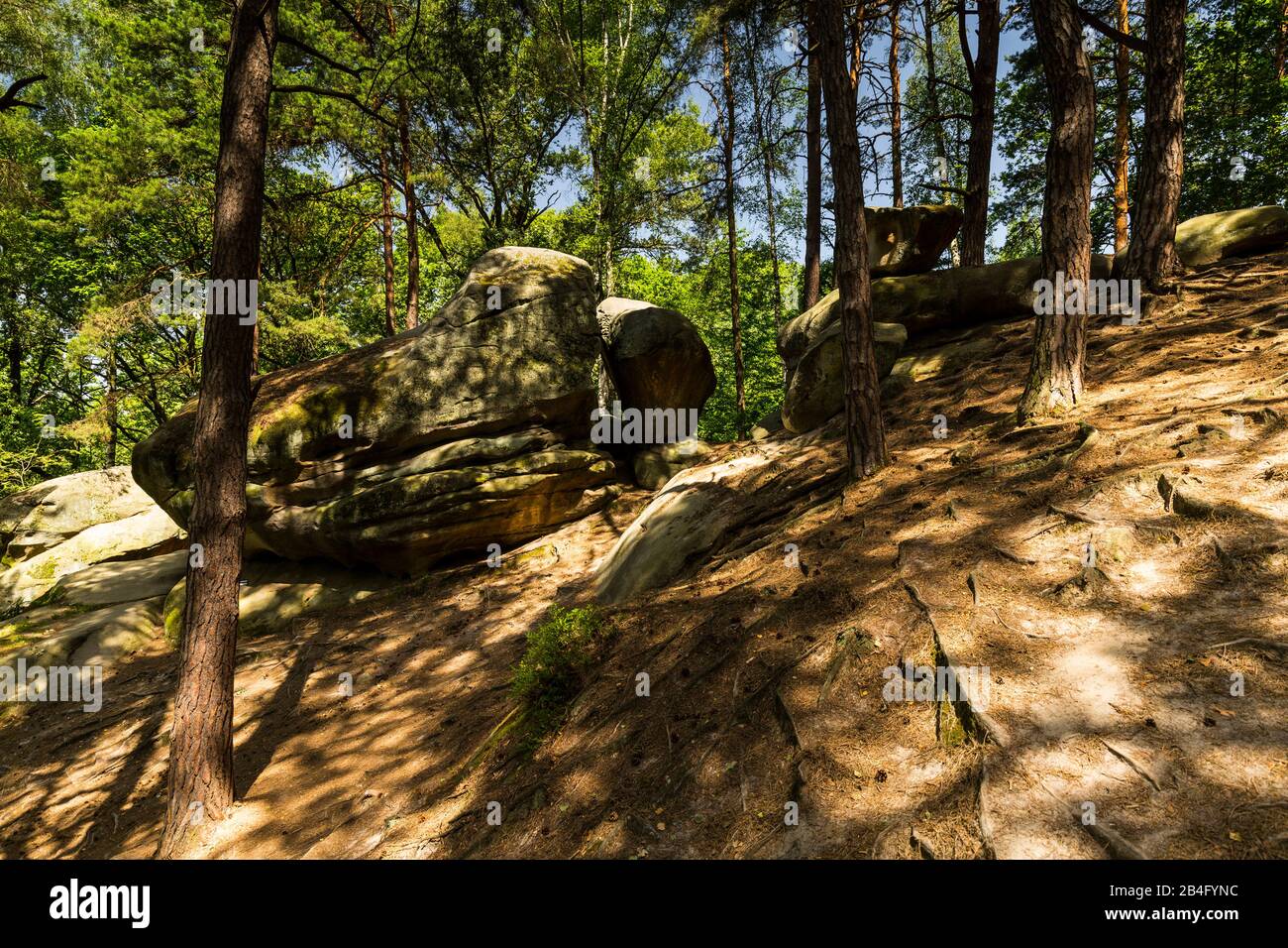 Europe, Pologne, Province De Lesser Pologne, Ciezkowice - Réserve Naturelle Ville Pétrifiée Banque D'Images