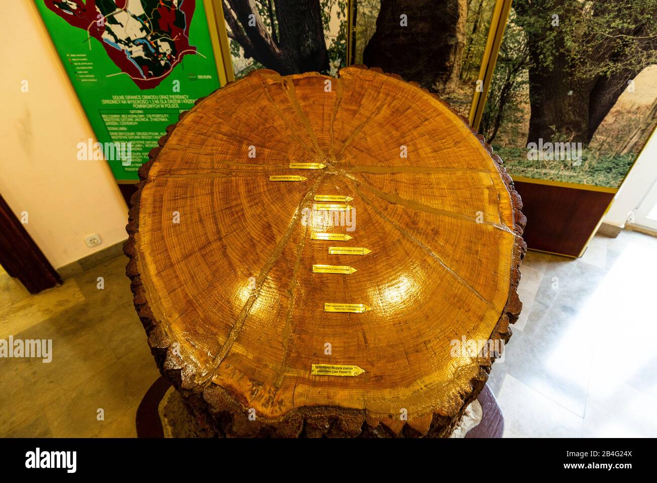 Europe, Pologne, Grande Pologne, Parc National De Wielkopolski - Musée Et Centre Éducatif À Jeziory Banque D'Images