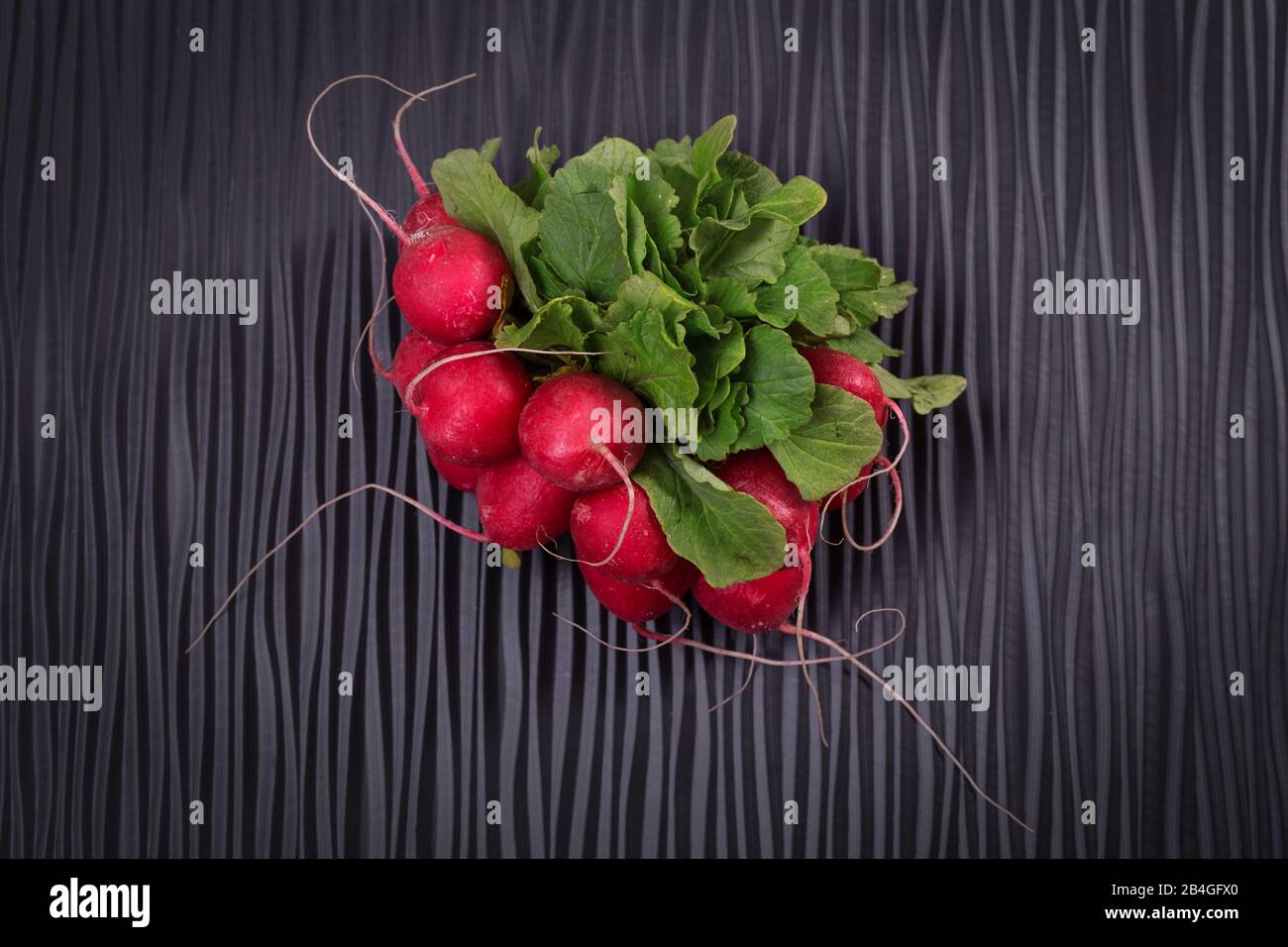 Radish de légumes pour salade sur une planche noire en bois. Cloes up. Banque D'Images