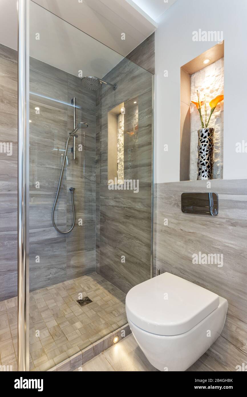 Salle de bains moderne avec douche et toilettes et articles de toilette  Photo Stock - Alamy
