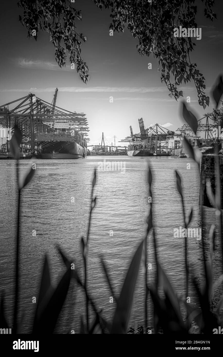 Allemagne, Hambourg, Elbe, port, port de Waltershofer, chargement de conteneurs, Köhlbrandbrücke, navire à conteneurs Banque D'Images