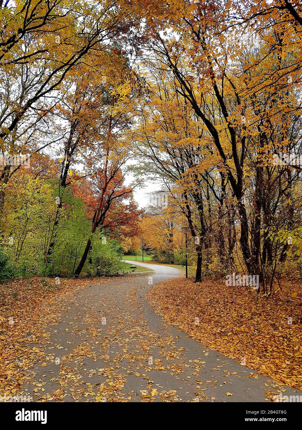 L'automne dans le parc de la ville Banque D'Images