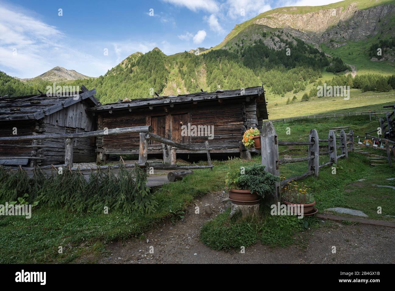 Fane Alm, Almdorf, Tyrol Du Sud, Italie, Europe Banque D'Images