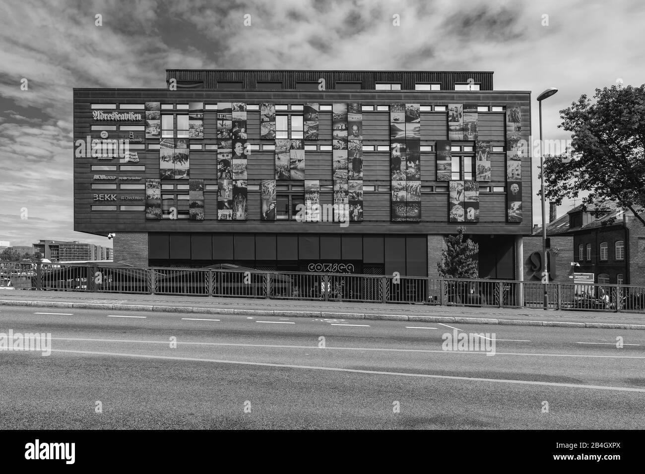 Bâtiment, Façade, Trondheim, Norvège, Scandinavie, Europe, Architecture, Noir Et Blanc Banque D'Images