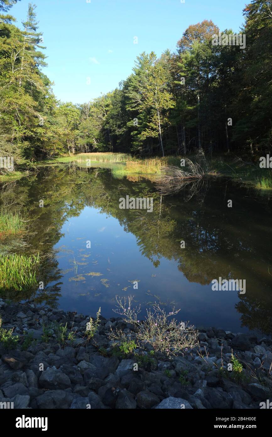 Bassin d'eau douce près du réservoir Ahokan, État de New York Banque D'Images