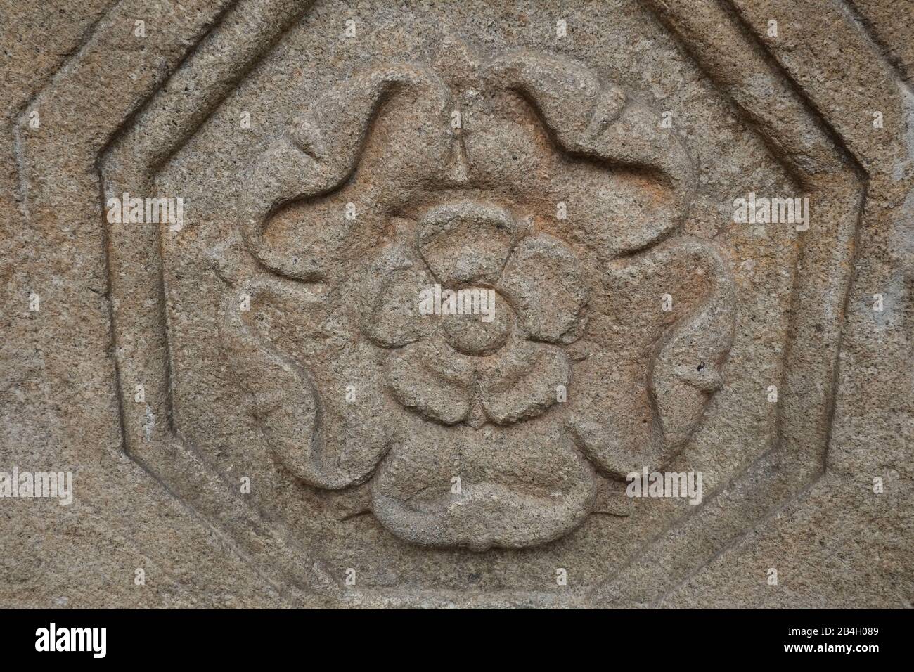 La famille Rosenberg était une famille noble bohémienne éminente qui a joué un rôle important dans l'histoire médiévale tchèque du XIIIe siècle jusqu'en 1611. Rose était le logo de la famille Banque D'Images