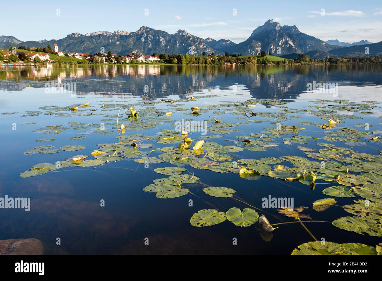 Hopfensee dans l'Allgäu avec la chaîne de montagnes des alpes Banque D'Images