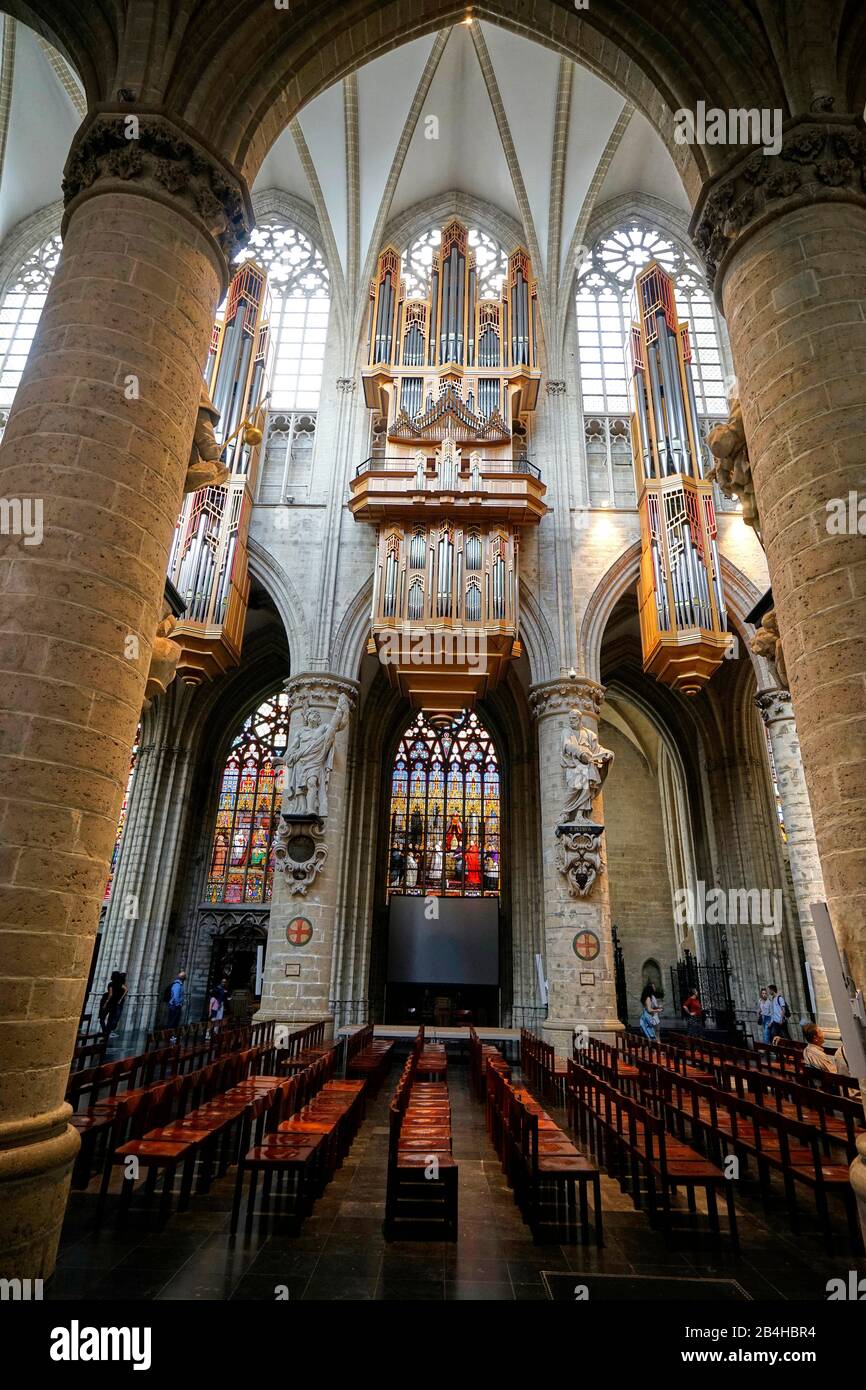 Europe, Belgique, Bruxelles, cathédrale Saint-Michel et Saint-Gudula, intérieur, orgue de l'église Banque D'Images