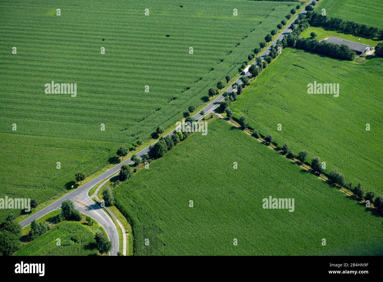 Vue aérienne d'une route de pays à travers les champs verts Banque D'Images