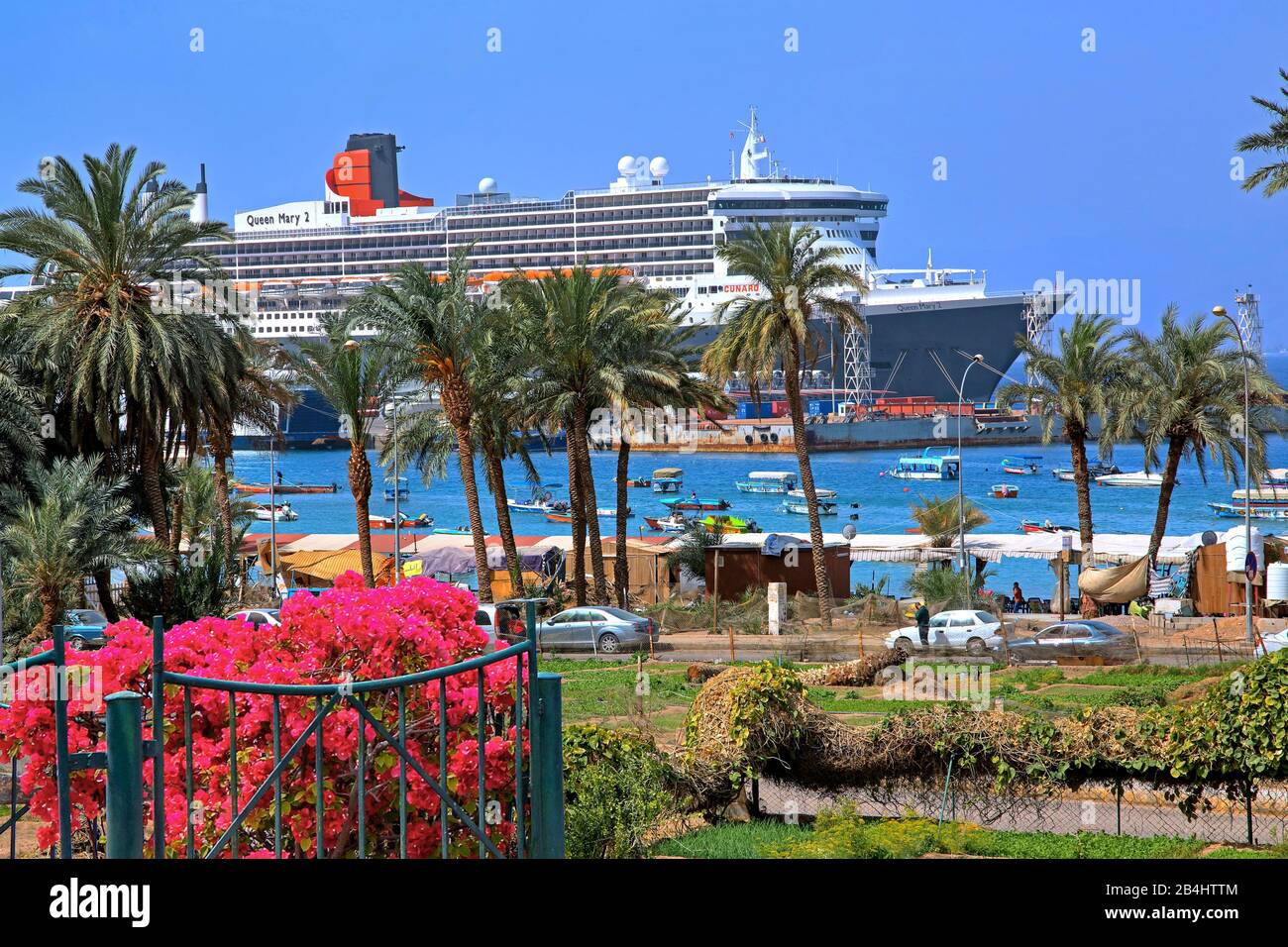 Palmiers dans le port avec bateau de croisière Queen Mary 2 Akaba Aqaba, Golfe d'Aqaba, Mer Rouge, Jordanie Banque D'Images