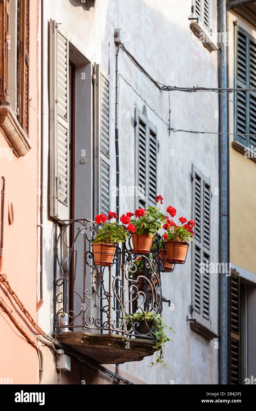 Europa, Italien, Piemont, Cannobio. Auf dem Geländer eines kleinen Balkons blühen rote Begonien. Banque D'Images