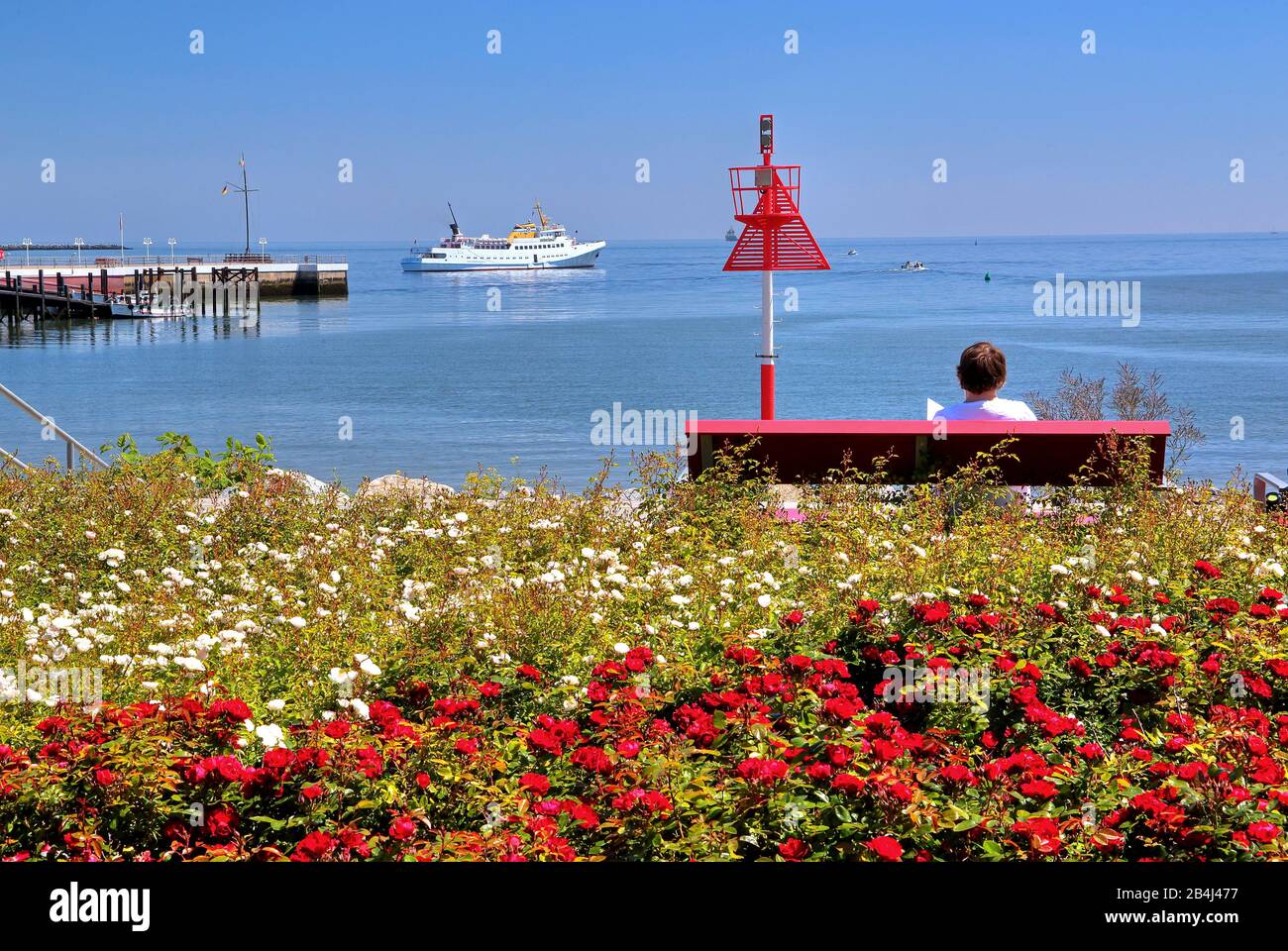 Rosenrabatten sur la plage sud avec station balnéaire sur la route, Heligoland, baie d'Heligoland, Golfe allemande, île de la mer du Nord, Mer du Nord, Schleswig-Holstein, Allemagne Banque D'Images