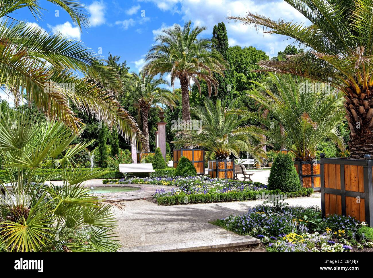 Jardin de palmiers dans le parc thermal Bad Pyrmont, Staatsbad Emmertal, Weserbergland, Basse-Saxe, Allemagne Banque D'Images