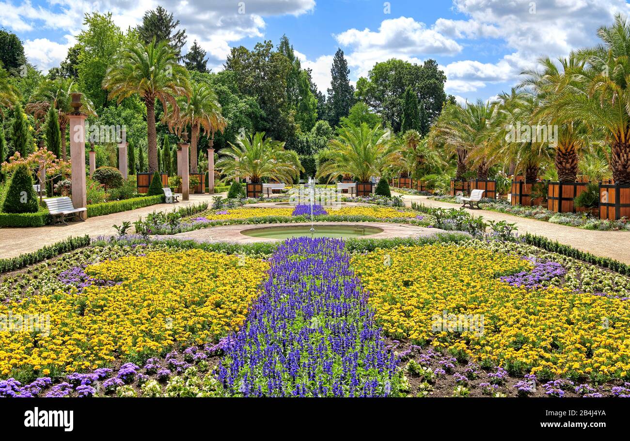 Jardin de palmiers avec fontaines et bordures fleuries dans le parc thermal Bad Pyrmont, Staatsbad Emmertal, Weserbergland, Basse-Saxe, Allemagne Banque D'Images