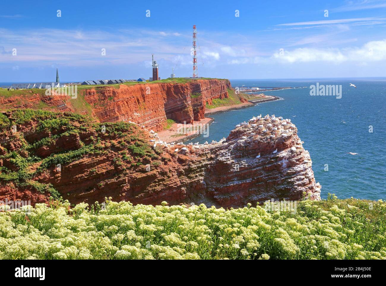 Falaise du nord-ouest avec phare et tour de transmission sur l'Oberland, Heligoland, baie d'Heligoland, Golfe allemande, île de la mer du Nord, Mer du Nord, Schleswig-Holstein, Allemagne Banque D'Images
