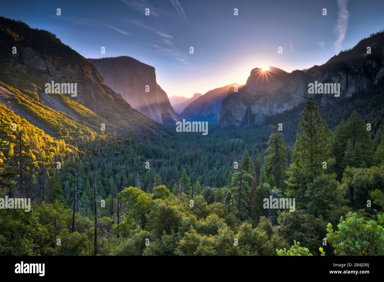 États-Unis, États-Unis D'Amérique, Yosemite National Park, Californie Banque D'Images