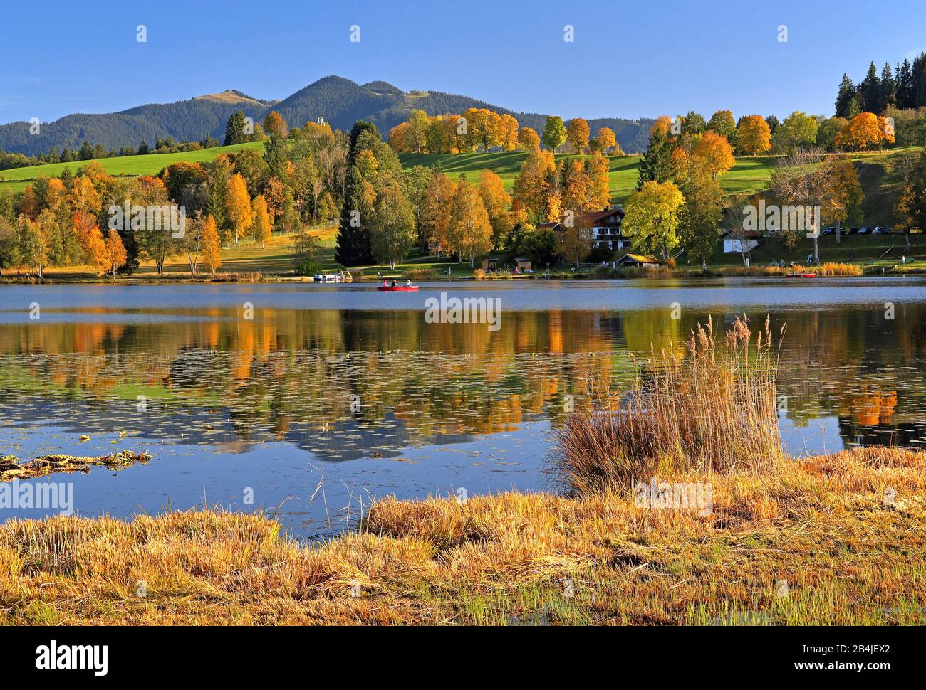 Paysage des landes au Soiener See avec Hörnle (1484 m) des Alpes d'Ammergau, Bad Bayersoien, contreforts alpins, Haute-Bavière, Bavière, Allemagne Banque D'Images