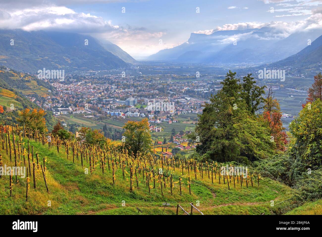 Vignoble surplombant la vallée de l'Adige sur la ville de Merano, village du Tyrol, Burgraviato, Tyrol du Sud, Italie Banque D'Images