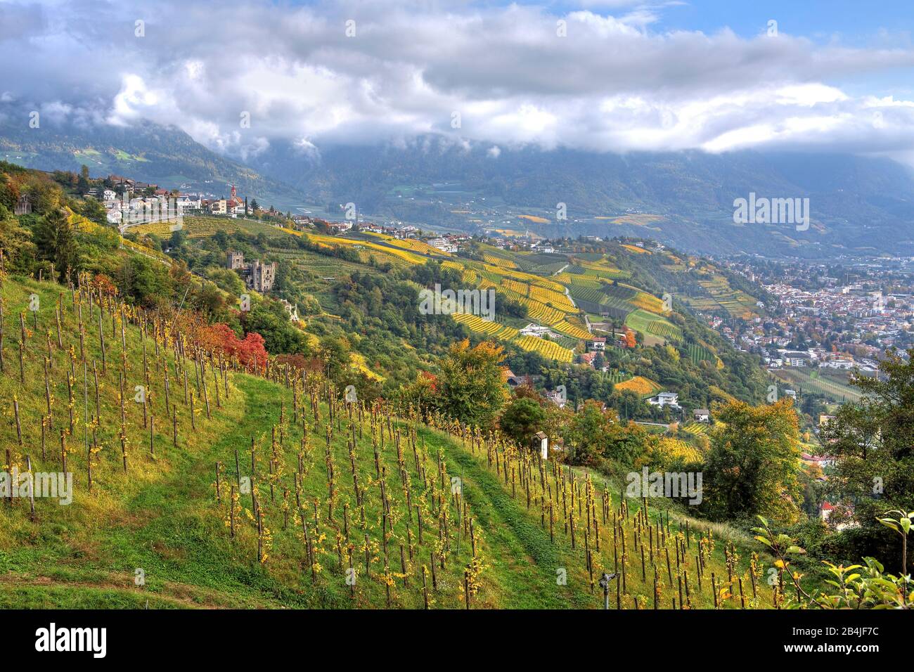 Panorama du village au-dessus de la vallée de l'Adige avec vignoble, village Tirol, Burggrafenamt, Tyrol du Sud, Italie Banque D'Images