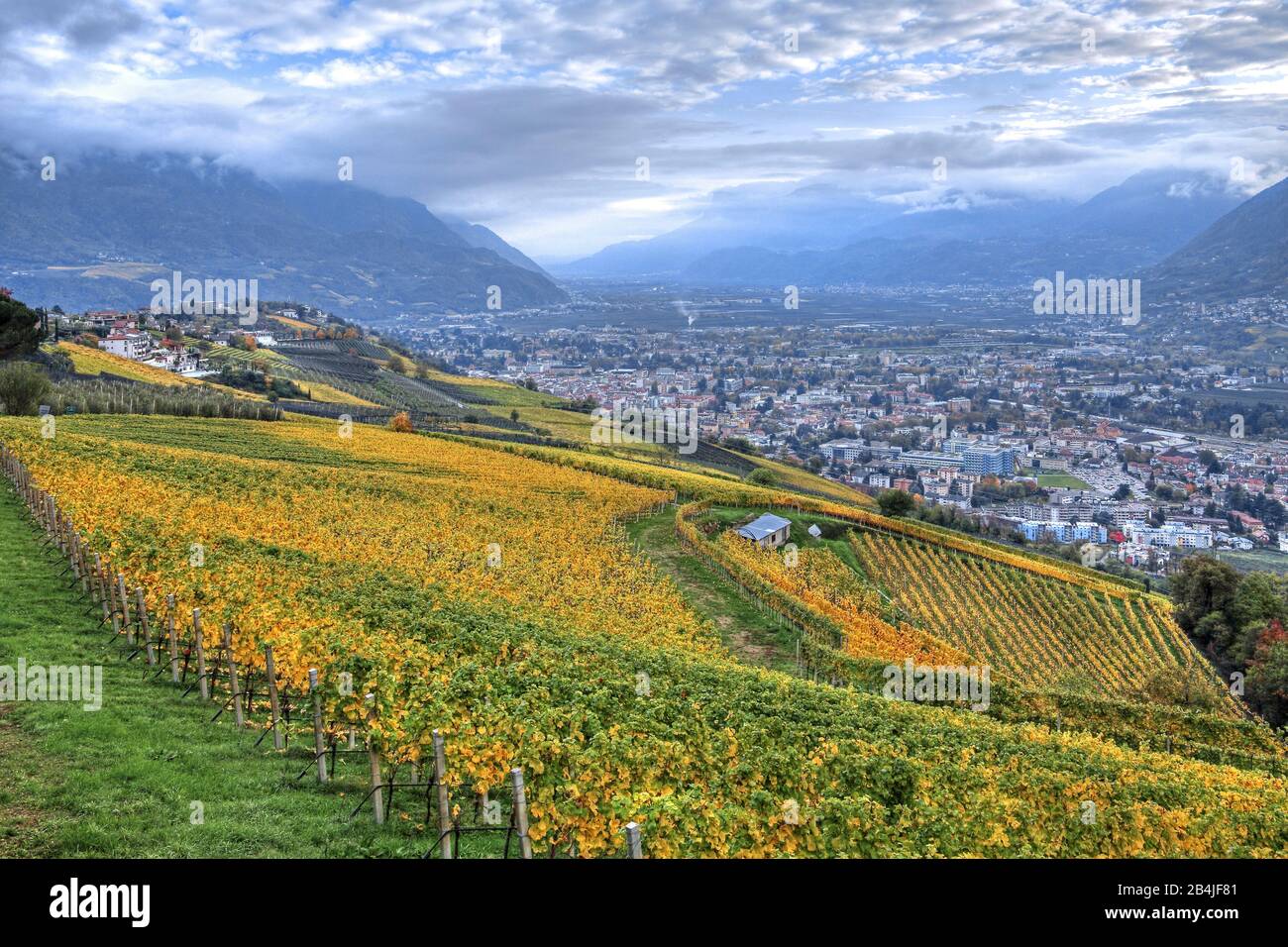 Vignoble surplombant la vallée de l'Adige sur la ville de Merano, village du Tyrol, Burgraviato, Tyrol du Sud, Italie Banque D'Images