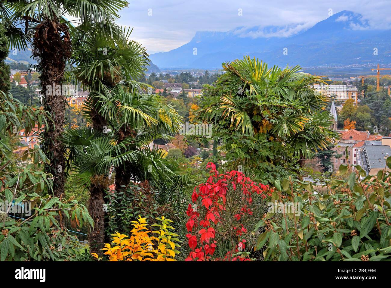 Vue du Tappeinerweg au centre ville, Meran, Adige Valley, Burgraviato, Tyrol du Sud, Italie Banque D'Images
