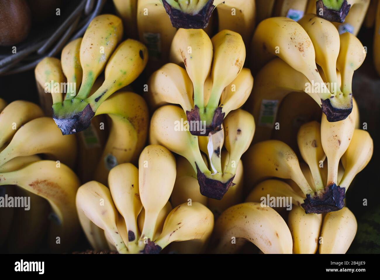 Bananes vendues, rapprochés Banque D'Images