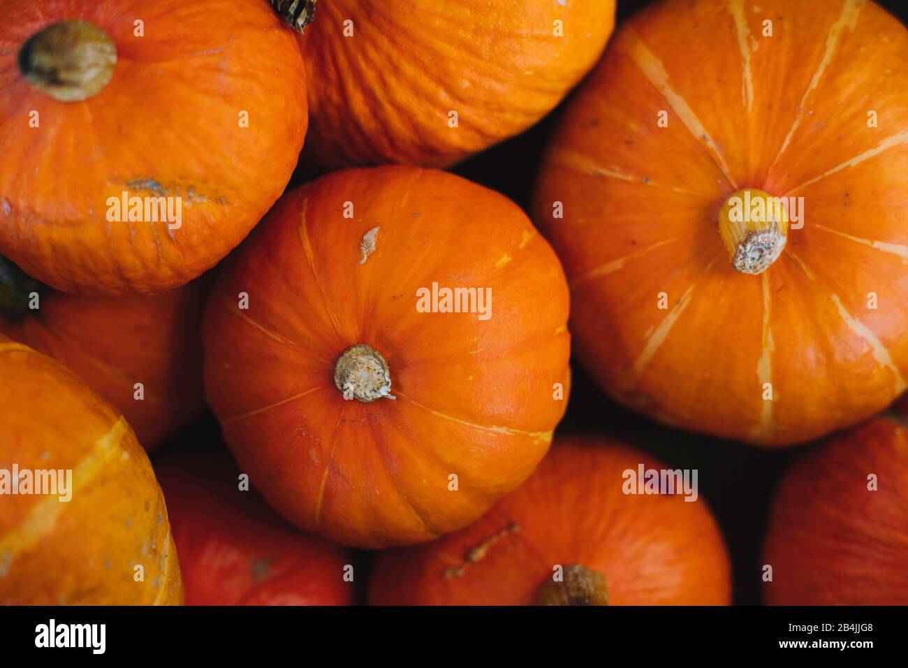 Hokkaido Pumpkins à vendre, gros plan Banque D'Images