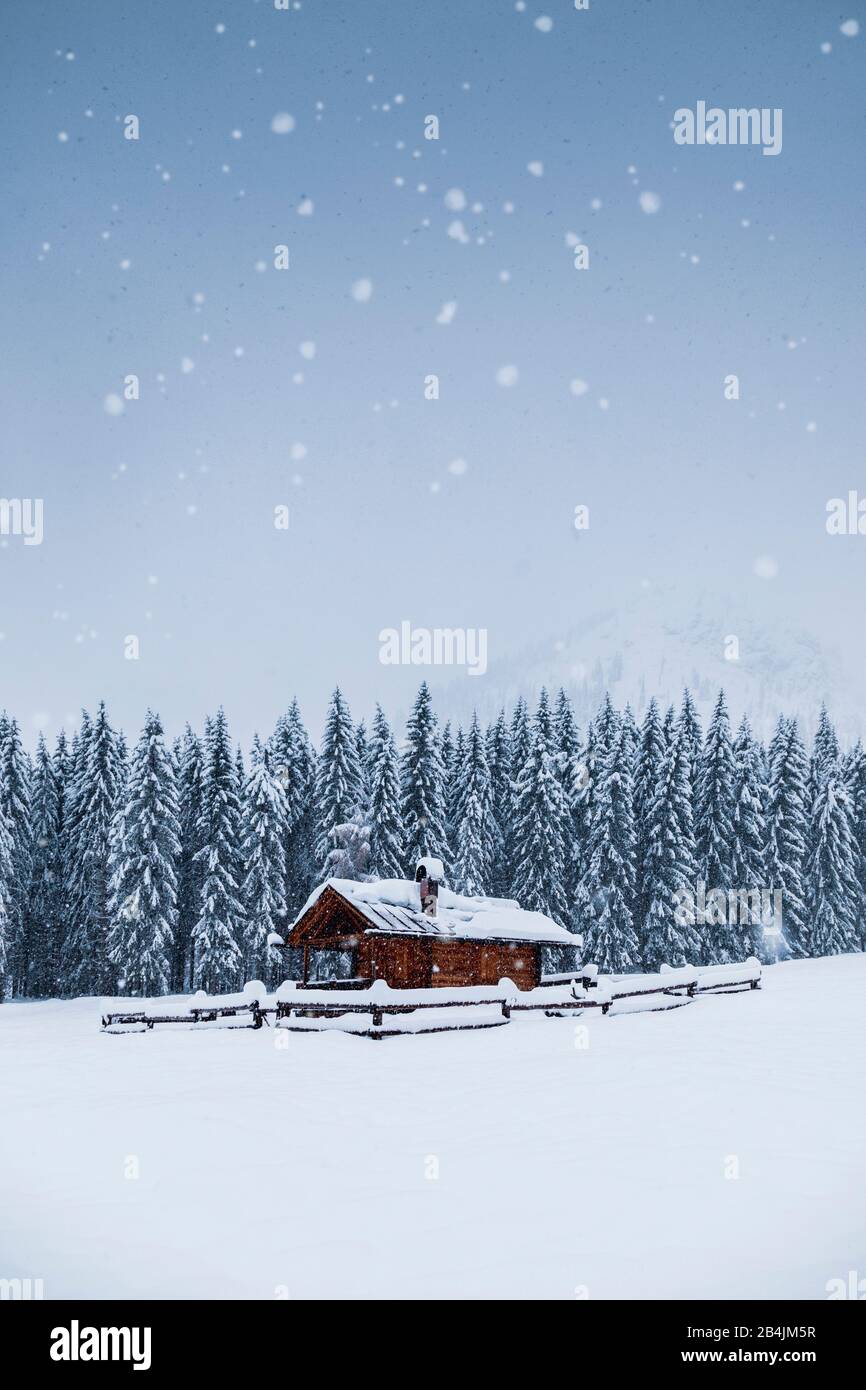 Paysage d'hiver avec une maison en bois dans les montagnes enneigées, vallée d'Ansiei, Auronzo di Cadore, Belluno, Vénétie, Italie Banque D'Images