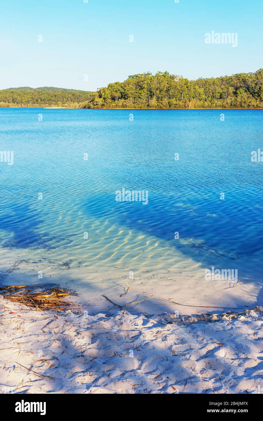 Le Lac McKenzie, Fraser Island, Queensland, Australie, Banque D'Images