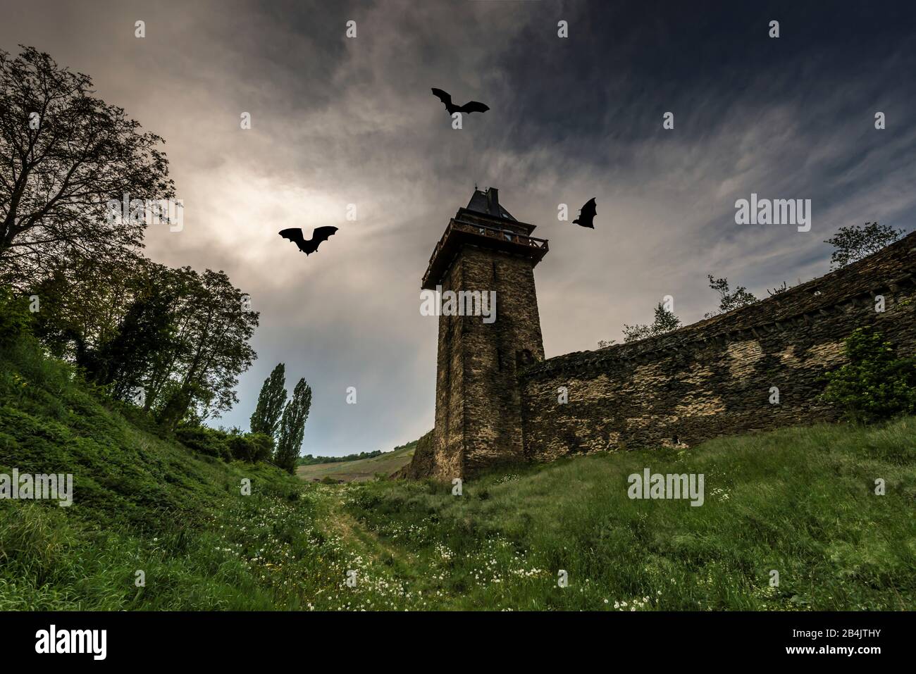 Mur de la ville avec Michelfeldturm à Oberwesel, effrayant, effrayant, chauves-souris, suceur de sang, Banque D'Images