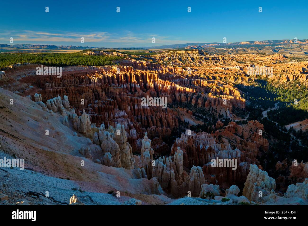 États-Unis, États-Unis d'Amérique, Bryce Canyon, Utah, Sud-Ouest des États-Unis, Banque D'Images