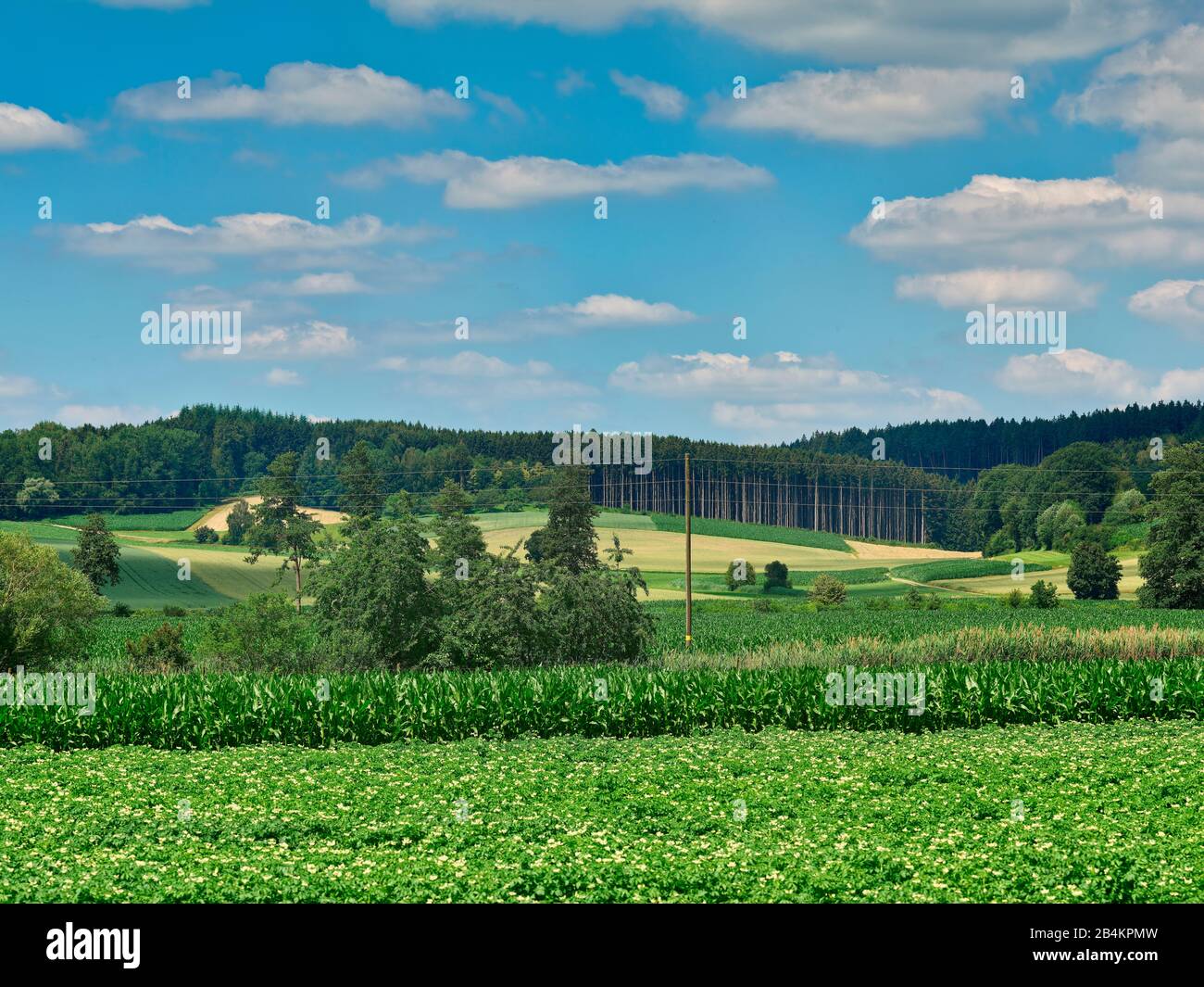 Schmuttertal, Gablingen, Augsbourg, Swabia (Bavière), État Libre De Bavière, Allemagne Banque D'Images