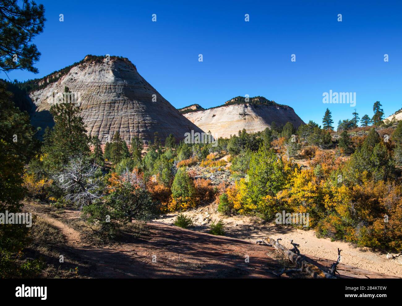 États-Unis, Utah, Washington County, Springdale, Zion National Park, Paysage À Zion - Mount Carmel Hwy 9 Checkcuboard Mesa Banque D'Images