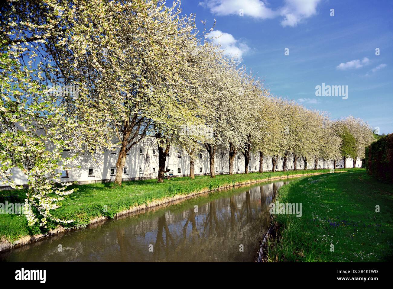 Allemagne, Bavière, le mur du palais de Lustheim à Oberschleissheim avec arbres fleuris et canal Banque D'Images