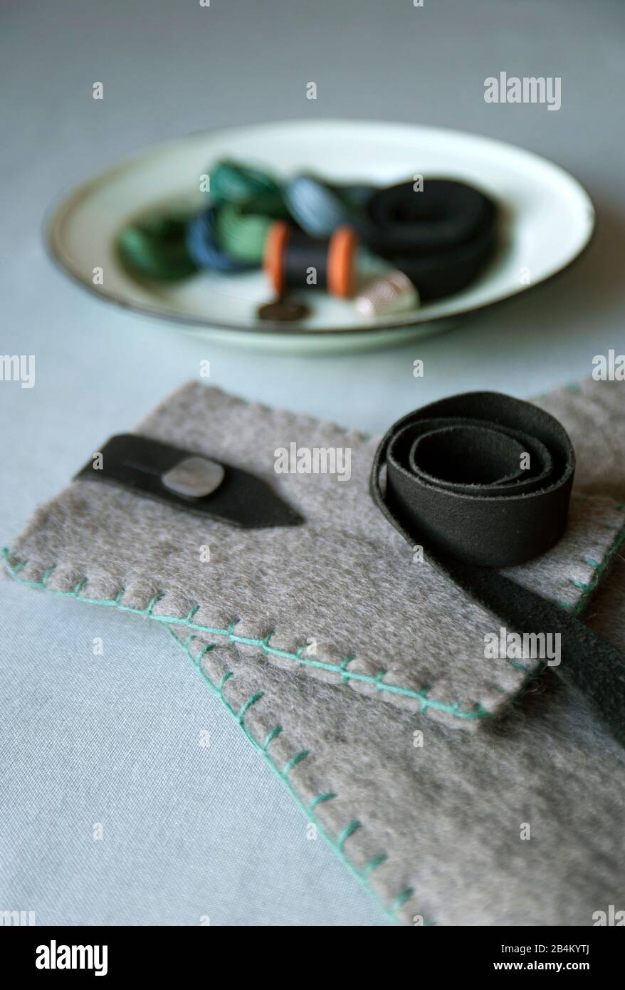 Étui pour téléphone portable Banque D'Images