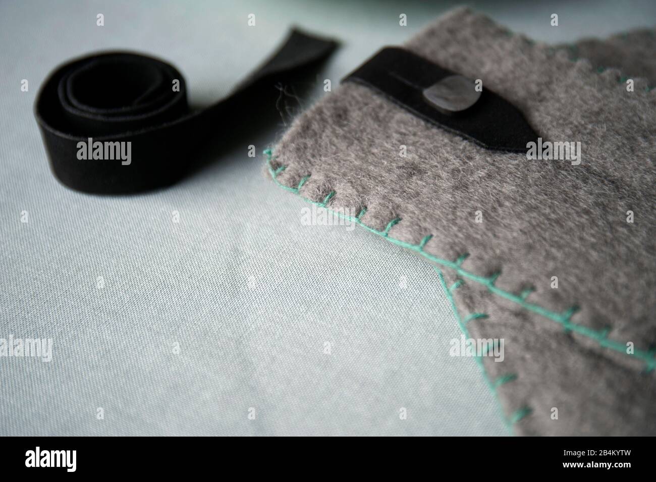 Étui pour téléphone portable Banque D'Images