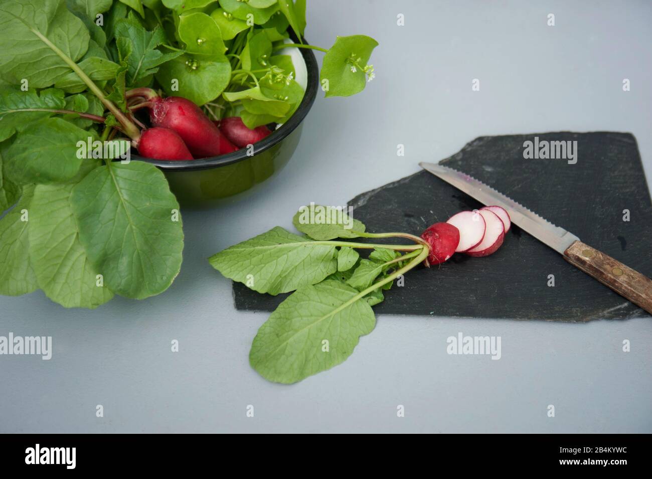 Salade d'hiver de Purslane de votre propre jardin Banque D'Images